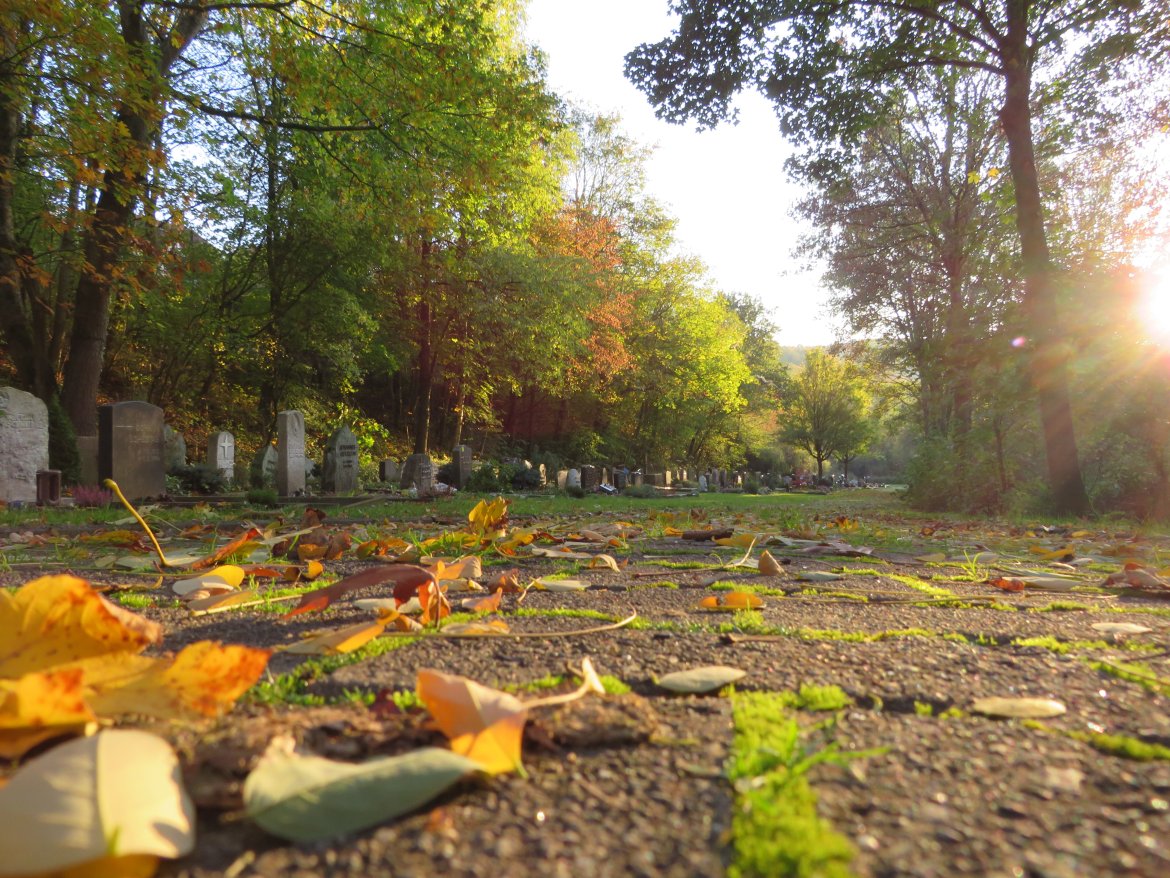 Friedhof Michelbach (neuer Teil) | Aarbergen